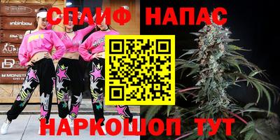 стафф Кингисепп