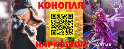 стафф Кингисепп