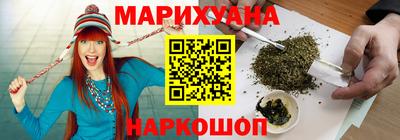 стафф Кингисепп