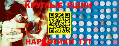 стафф Кингисепп