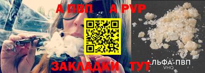 стафф Кингисепп