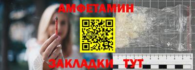 стафф Кингисепп