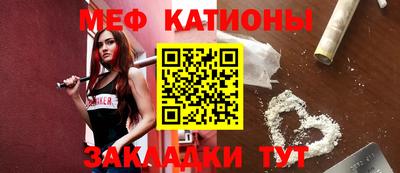 стафф Кингисепп